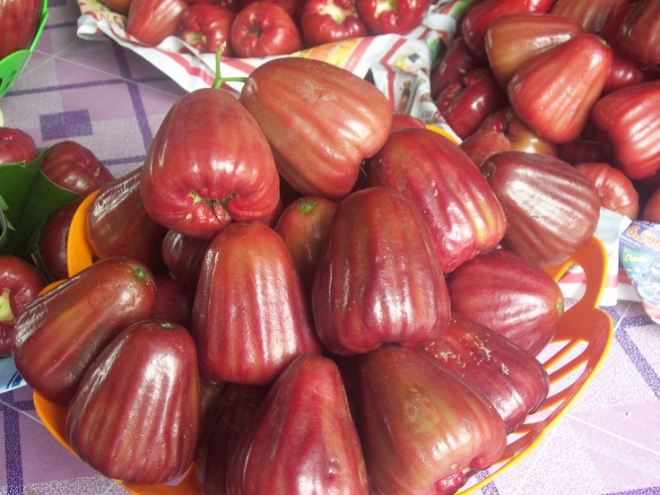 Jambu Delhari