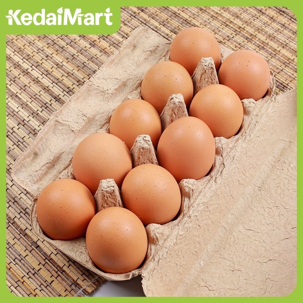 Telor Ayam Negeri