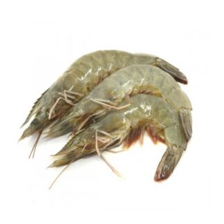Udang Vaname