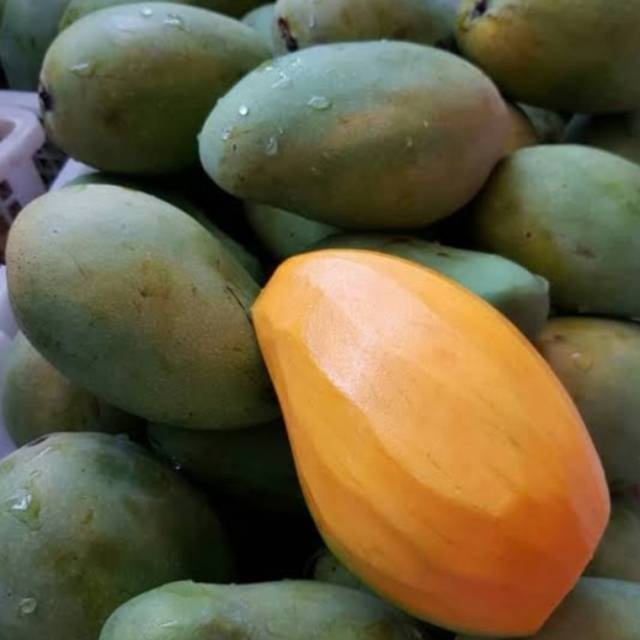 Mangga Harum Manis Super Large Msak Pohon /kg